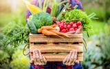 Quels sont les fruits et les légumes les plus touchés par les pesticides ? 60 Millions de consommateurs répond