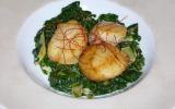 Coquilles Saint-Jacques sur Lit d'Epinards et Blettes