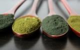 Tout savoir sur la spiruline