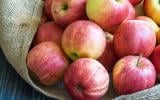 Jus de pomme, compote, fruit : comment consommer la pomme pour profiter de tous ses bienfaits ?