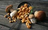 La fraîcheur des champignons dépend de la façon dont vous les conservez, mais aussi de la façon dont vous les manipulez