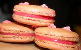 Macarons aux pralines roses