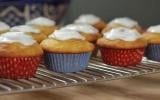 Cupcakes citron-bleuet