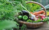 Vous épluchez toujours ce légume ? C’est une erreur d’après une diététicienne, vous passez à côté de nombreux bienfaits !