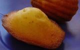 Madeleines : 7 secrets pour les réussir