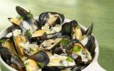 Moules au roquefort économique