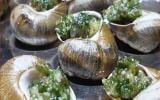 Escargots en persillade à la catalane