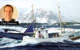 De la pêche à l'assiette : mon voyage en Norvège, le pays du cabillaud Skrei 