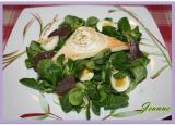 Salade de chèvre chaud et gésiers confits