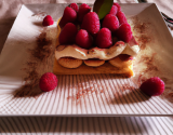 Tiramisu aux framboises savoureux