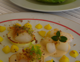 Noix de Saint-Jacques en chaud et froid : saisies, poêlée de pommes au Calvados, fin velouté d'endives / en carpaccio citron vert,endives et pommes à crues, crème acidulée aux herbes.