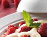 Mousse de crème aux fruits rouges