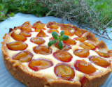 Tarte aux mirabelles au thermomix