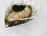 Huîtres aux Champagne et au caviar