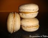 Macarons spéculos