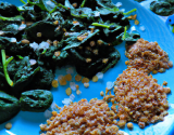 Lentilles, épinards et copeaux de parmesan