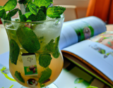 Mojito cocktail