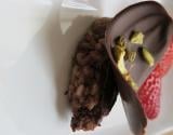 Sushis tout chocolat (magnum version sushi)