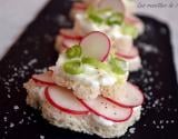 Petits toasts au fromage blanc et radis