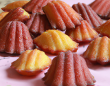 Madeleines provençales