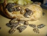 Cuisses de poulet aux morilles