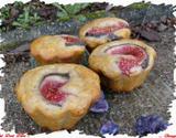 Muffins figues & huile d'olive (sans beurre )