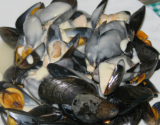 Moules au maroilles faciles