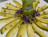 Carpaccio de courgettes et puits de tzatziki