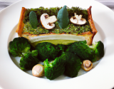 Dos de bar en crôute sylvestre, purée de brocoli, effilochée de chou vert et champignons