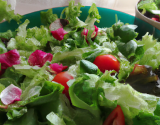 Salade pour les gourmands