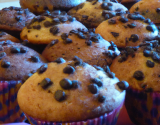 Muffins aux pépites de chocolat maison