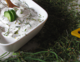 Tzatziki inratable