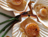 Coquilles Saint Jacques pochées, feuilleté aux noisettes et Dubarry caramélisé