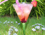 Cocktail du jardin