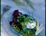 Fond de petits pois dans leur jus tiède à la menthe infusée et chèvre