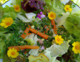 Salade de mon jardin secret