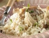 Risotto aux champignons sauvages