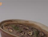 Terrine de lapin