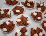 Rose des sables aux chamallows