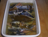 Sardines en conserve