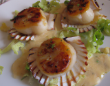 Coquilles Saint Jacques à l'unilatérale et crème d'endives caramélisée