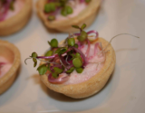 Mini tartelette pousse et mousse de radis