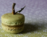 Dans le 'secret' des macarons