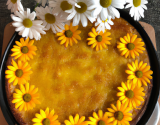 Yellow Daisy