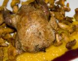 Pigeon ramier, compote de potiron à la vanille, chanterelles, sauce au marsala