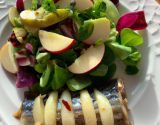 Salade pomme et hareng