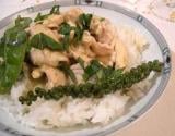 Curry vert de poulet à la thaïlandaise