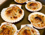 Coquilles Saint-Jacques gratinées au four