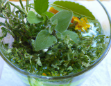 Tonic aux herbes