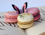 Macarons Papillon